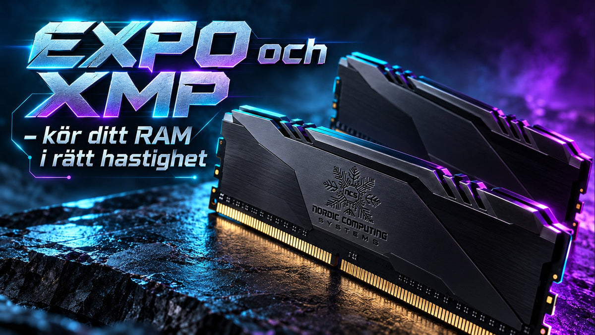 EXPO och XMP – kör ditt RAM i rätt hastighet. Teknisk typografi och exakt två RAM-moduler med NCS-loggan graverad i en värmespridare.